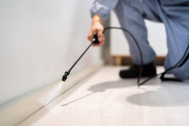 Licensed Cockroach Control service in Berwick, LA - Nex Pest Control