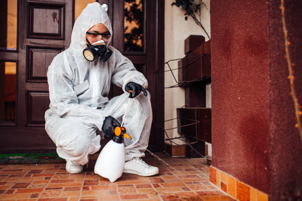 Reliable Cockroach Control contractor in Berwick, LA by Nex Pest Control