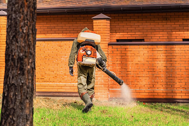 Top rated local Cockroach Control specialists in Berwick, LA